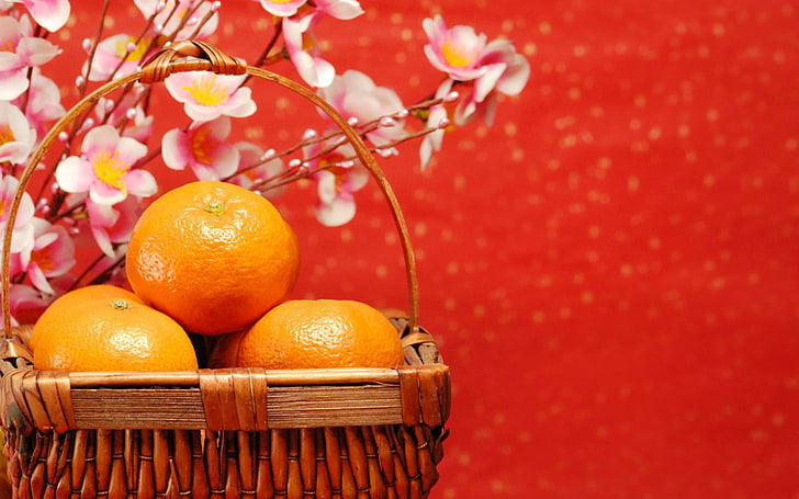 2013 السنة الصينية الجديدة موضوع خلفية سطح المكتب 30 ، فواكه برتقالية، خلفية HD