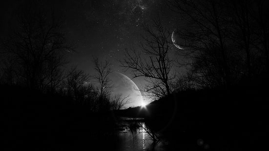oscuridad, luna, estrellas, planetas, cielo nocturno, bosque, Fondo de pantalla HD HD wallpaper