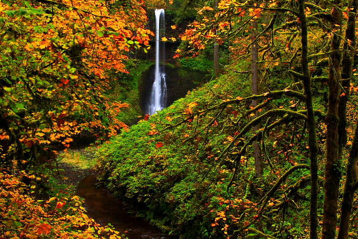 осень, водопад, природа, парк, парки, серебро, штат, сша, водопады, HD обои