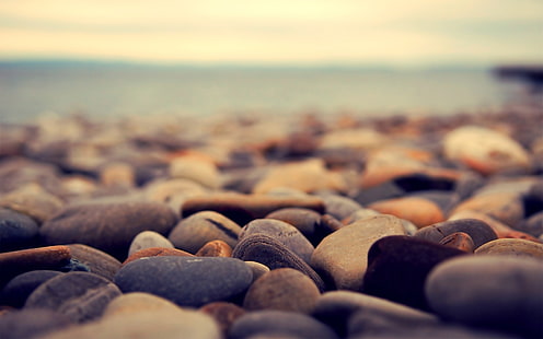 gray stones, rock, water, stones, beach, depth of field, macro, HD wallpaper HD wallpaper