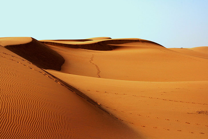 desert, footprints, hot, sand, sand dunes, HD wallpaper