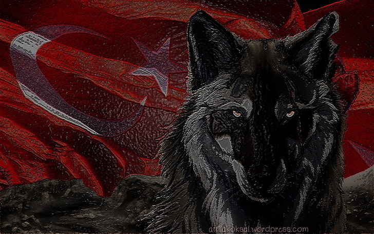 black wolf painting, wolf, Bozkurt, Turkish, Turkey, flag, HD wallpaper