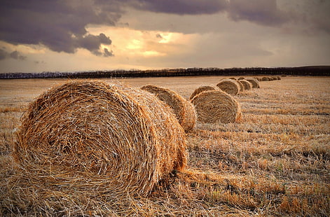 солома, поле, пейзаж, стога сена, сено, закат, осень, ферма, HD обои HD wallpaper
