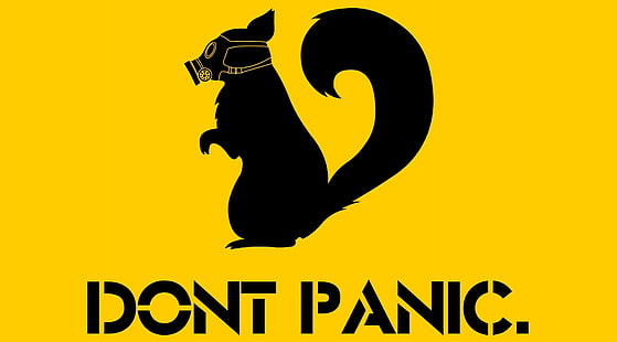 Dont Panic, black squirrel dont panic signage, Funny, Panic, HD wallpaper HD wallpaper