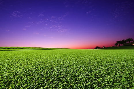 Grünes Gras, Sonnenuntergang, Golfplatz, HD-Hintergrundbild HD wallpaper