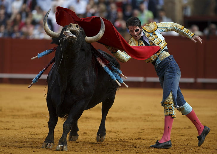 bullfighting, HD wallpaper