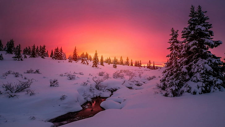 風景、紫の空、オレンジ色の空、ランナー、小川、夜明け、日没、雰囲気、丘の中腹、モミ、冬、夜、雪、小川、木、凍結、自然、空、雪、 HDデスクトップの壁紙