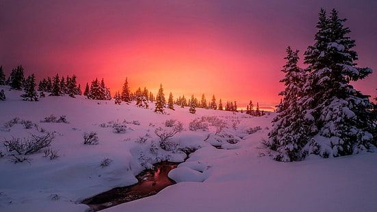 landscape, purple sky, orange sky, runnel, brook, dawn, sunset, atmosphere, hillside, fir, winter, evening, snowy, creek, tree, freezing, nature, sky, snow, HD wallpaper HD wallpaper