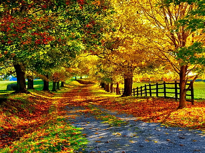 Herbst, Herbst, Frühling, Sommer, HD-Hintergrundbild HD wallpaper