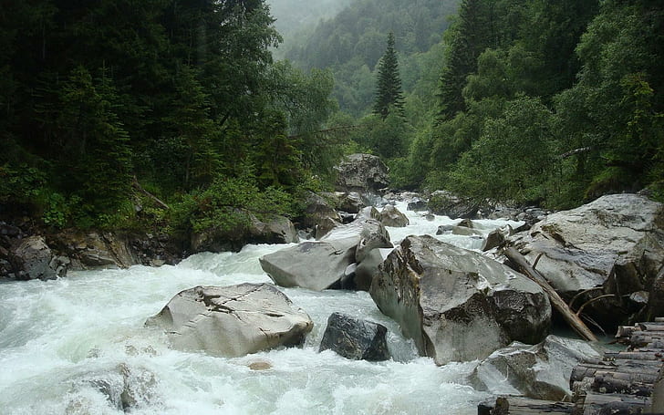 น้ำหมุนวนแม่น้ำที่ล้อมรอบด้วยต้นสนภูเขาน้ำหมุนวนธรรมชาติแม่น้ำ 3 มิติและนามธรรม, วอลล์เปเปอร์ HD