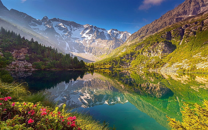 природа, пейзаж, езеро, диви цветя, планини, отражение, гора, вода, снежен връх, HD тапет