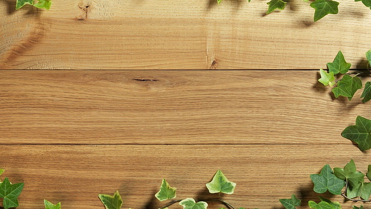 board, Ivy, Tables, textures, wood, HD wallpaper