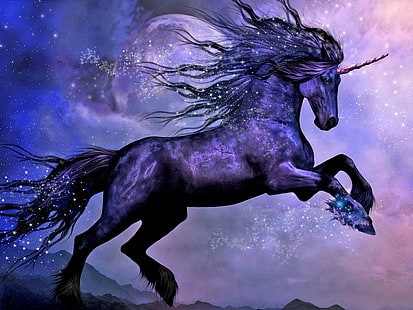 Fantasy Animals, Unicorn, Black, Fantasy, Moon, Night, HD wallpaper HD wallpaper