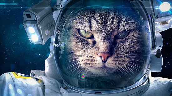 kedi, komik, uzay giysisi, astronot, uzay, HD masaüstü duvar kağıdı HD wallpaper