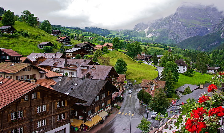 assorted-color houses, forest, mountains, home, Switzerland, valley, town, Grindelwald, HD wallpaper