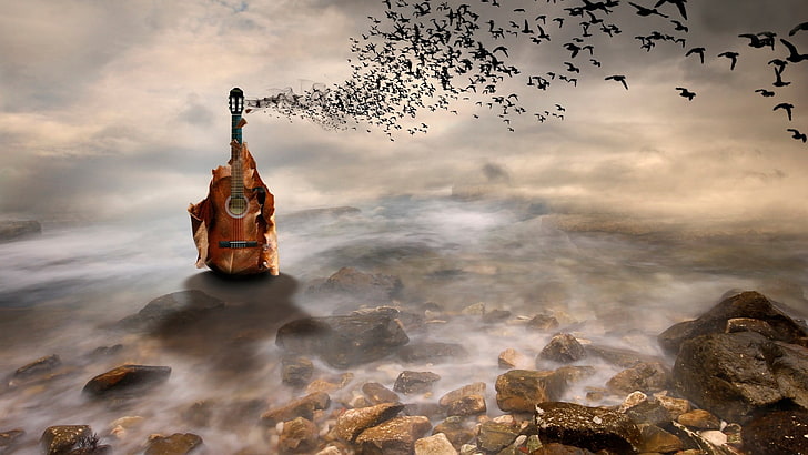 brown and black classical guitar, digital art, landscape, nature, clouds, stones, water, sea, guitar, birds, artwork, photo manipulation, HD wallpaper