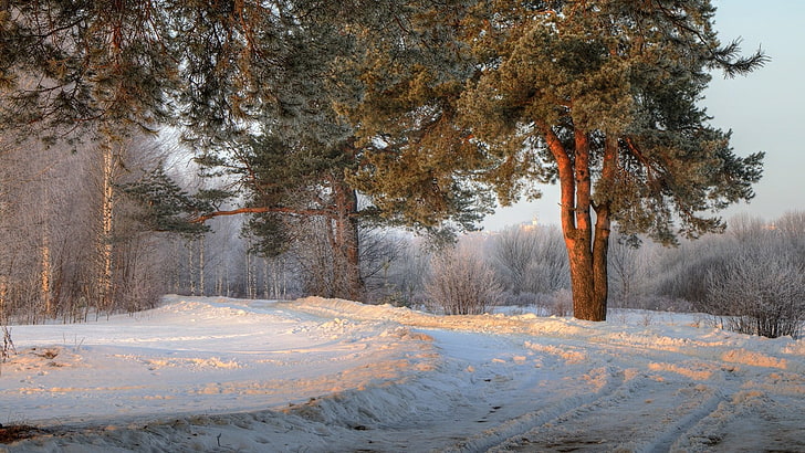 maison en béton brun et blanc, paysage, photographie, nature, matin, route, arbres, neige, hiver, arbustes, soleil, Russie, Fond d'écran HD