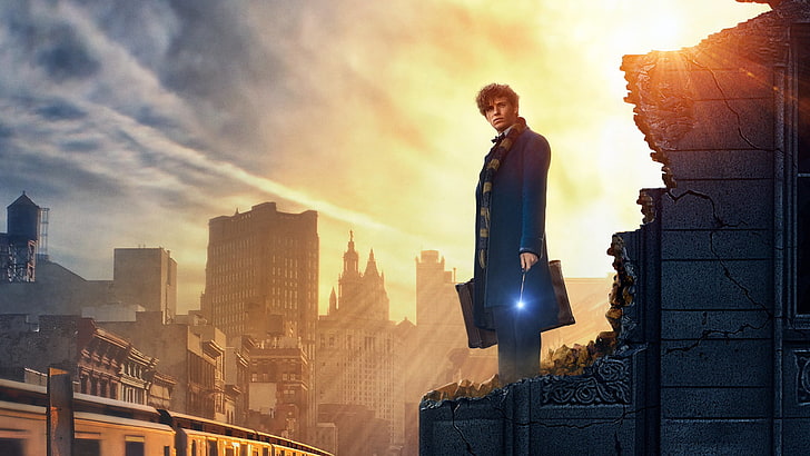 Film, Fantastic Beasts and Where to Find Them, Eddie Redmayne, HD tapet