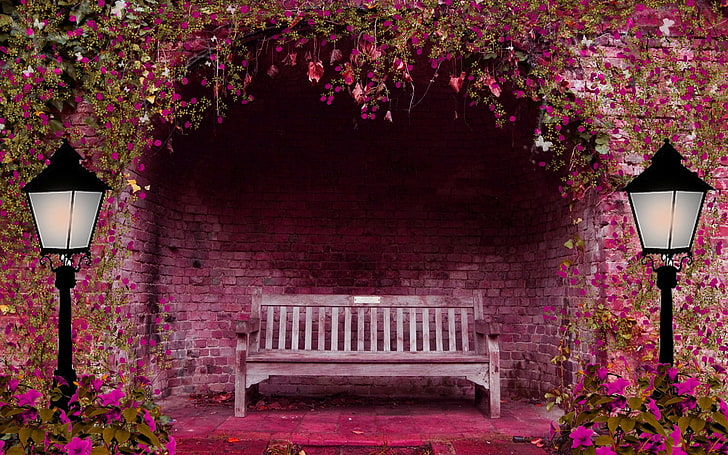 brown wooden bench, arch, bench, brick, flowers, garden, lamps, lights, pink, spring, HD wallpaper