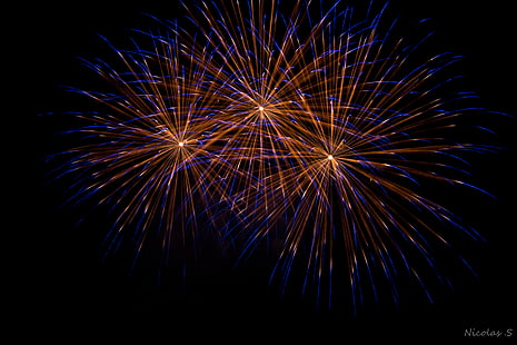fireworks, night, HD wallpaper HD wallpaper