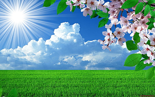自然春花風景木空風景背景画像、風景、背景、花、画像、風景、自然、春、木、 HDデスクトップの壁紙 HD wallpaper