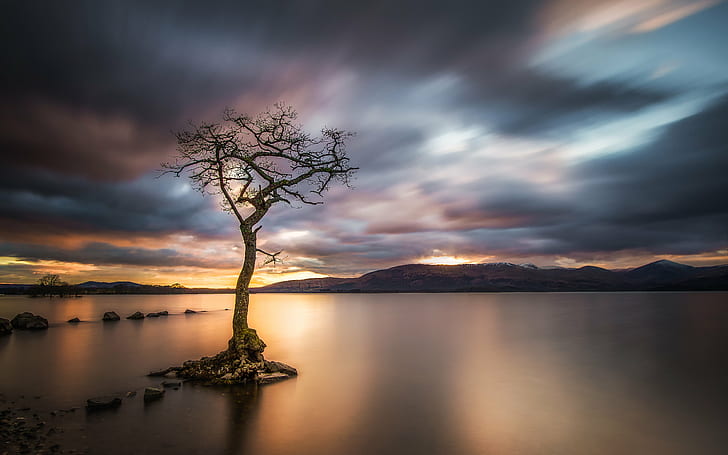 timelapse photography of tree surrounded by body of water, loch lomond, loch lomond, Loch Lomond, timelapse photography, body of water, Scotland, Sunrise  Sunset, Lone Tree, Long Exposure, Landscape, Lee Filters, Stopper, Light, Sun, 70D, Canon EF-S, S 10, Blur, Water, Photography, sunset, nature, lake, mountain, sky, dusk, reflection, scenics, sea, outdoors, HD wallpaper