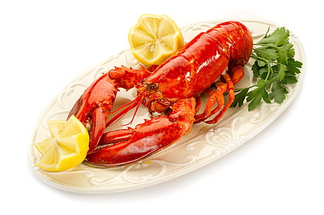 steamed lobster, lobster, parsley, plate, lemons, white background, dish, HD wallpaper HD wallpaper