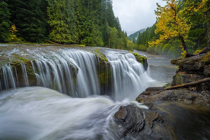 autumn, forest, river, waterfall, cascade, Lower Lewis River Falls, Lewis River, Gifford Pinchot National Forest, Washington State, Washington, River Lewis, HD wallpaper