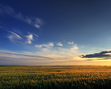 рисовые поля, поле, небо, облака, закат, простор, HD обои HD wallpaper