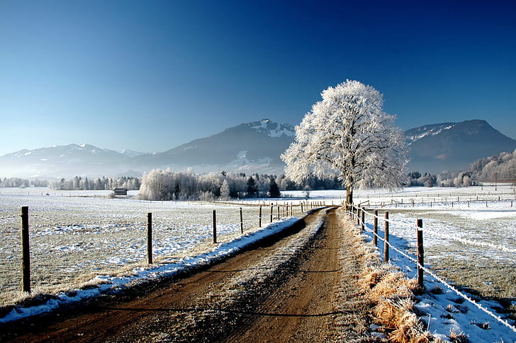 winter, road, field, snow, tree, the fence, HD wallpaper