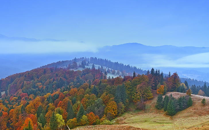 пейзаж, природа, осень, красные листья, холмы, лес, HD обои