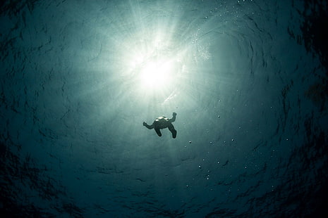 Dykning, under vattnet, solljus, dykning, under vattnet, solljus, HD tapet HD wallpaper