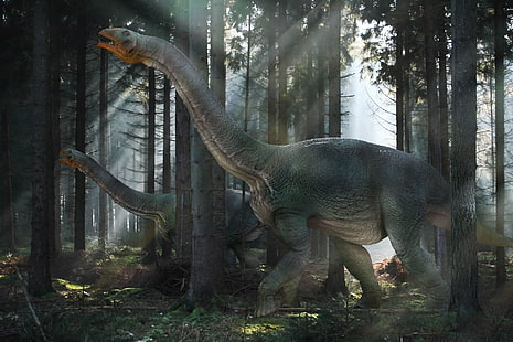 two gray dinosaurs, dinosaur, mesozoic era, walk, forest, HD wallpaper HD wallpaper