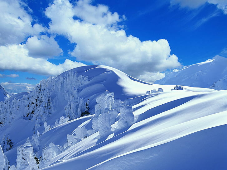 berg, snö, träd, snöig topp, natur, HD tapet