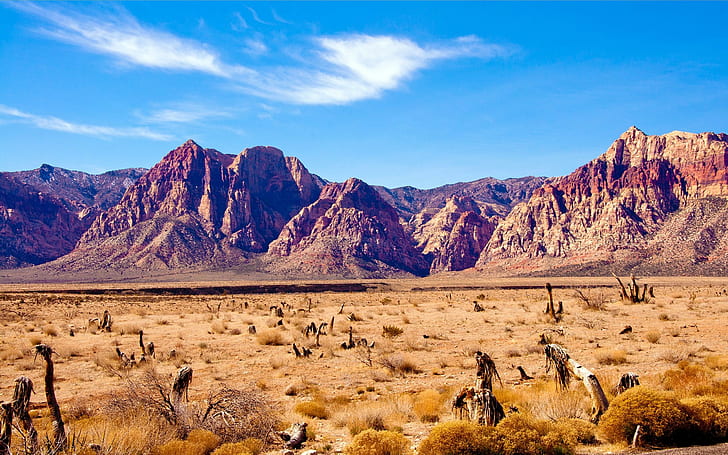 Las Vegas, Red Rock Canyon, deserto, HD papel de parede
