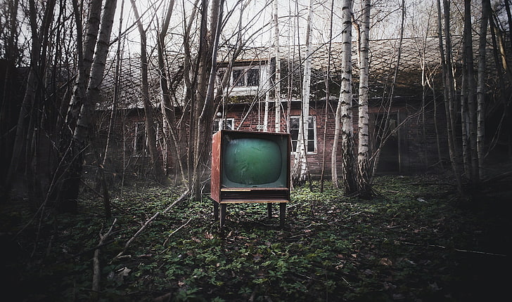 old, house, TV, dark, trees, HD wallpaper
