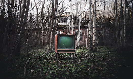 velho, casa, tv, escuro, árvores, HD papel de parede HD wallpaper