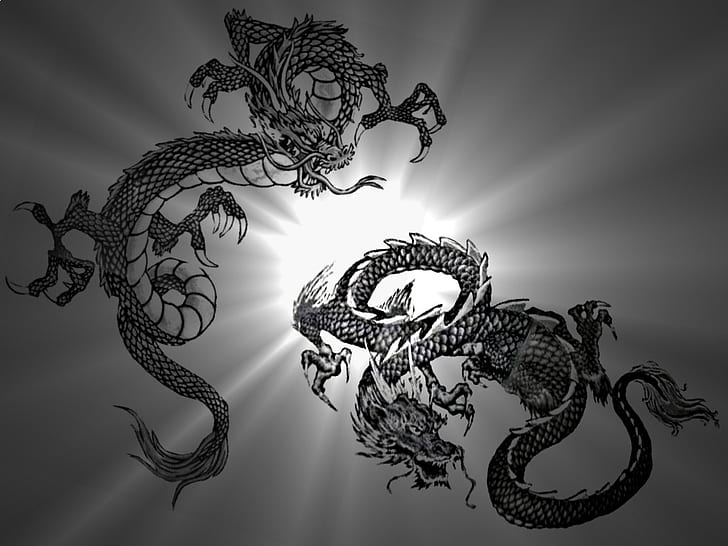 abstract Chinese-Dragons Abstract Andere HD Art, Abstract, HD-Hintergrundbild