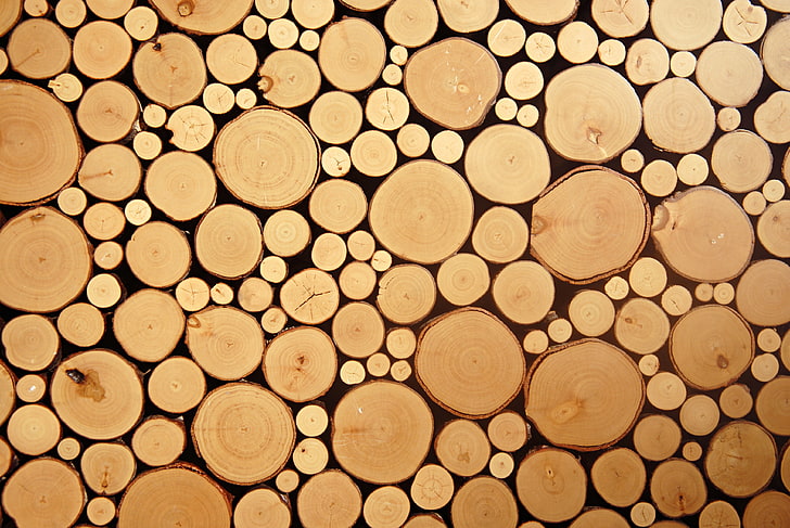troncos de árvores marrons, madeira, círculos, troncos cortados, HD papel de parede