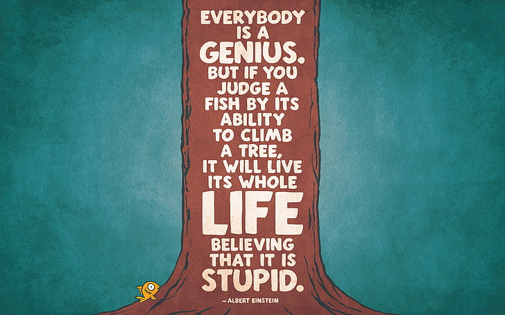 Albert Einstein Zitat, jeder ist ein genialer Text, Zitat, Typografie, Text, Kunstwerk, HD-Hintergrundbild