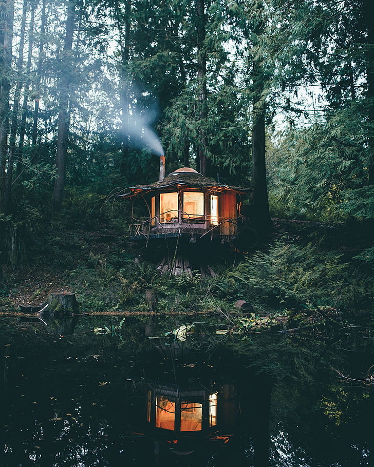 кафява дървена къща, дървета, гора, природа, портрет, кабина, дим, светлини, езеро, вода, отражение, HD тапет, тапет за телефон