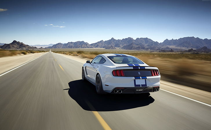 Ford Mustang Shelby GT350, mobil sport, Shelby, konsep, Mustang, GT350, supercar, Wallpaper HD