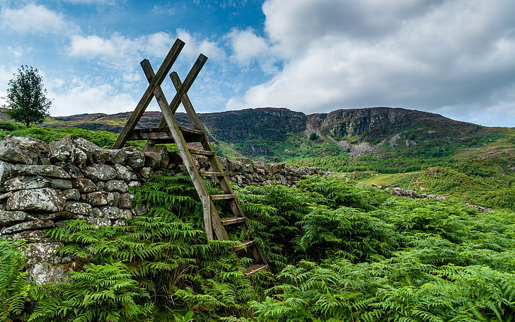 braune Holzleiter, Wales, Snowdonia, Treppe, Gras, HD-Hintergrundbild