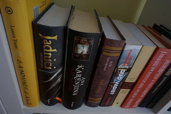 книга, книги, книжная полка, язык, сербский, HD обои