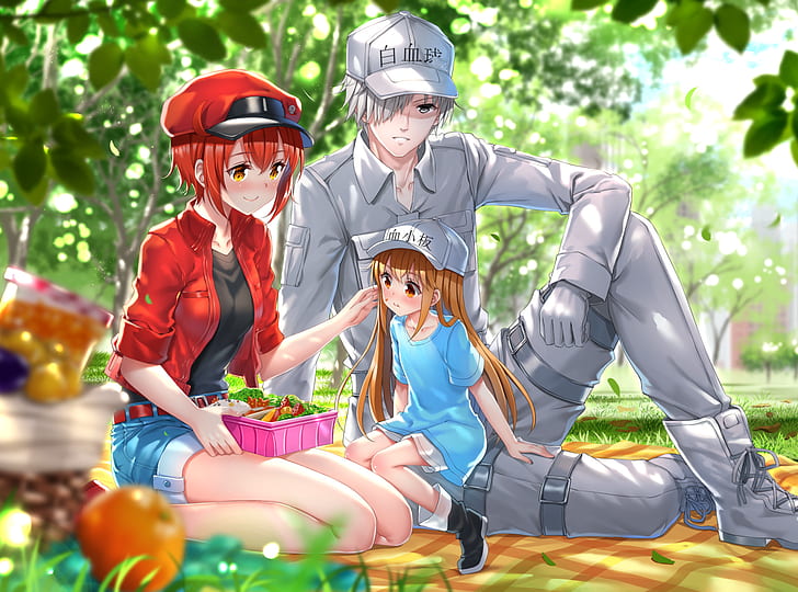 Hataraku Saibou, Blutplättchen, Blut (Anime), kurze Haare, Picknick, Shorts, Anime, HD-Hintergrundbild