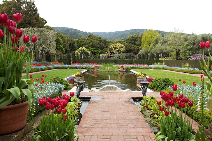 california, filoli, jardín, tulipanes, flores, estanque, naturaleza, Fondo de pantalla HD