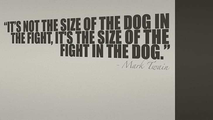 Dogfight, photography, quote, mark twain, words, animal, animals, HD wallpaper