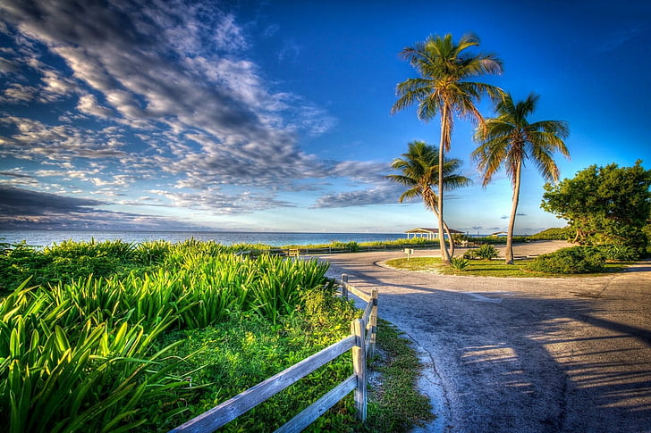 Man Made, Road, Beach, Fence, Grass, Palm Tree, HD wallpaper