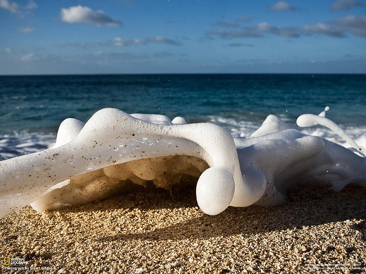น้ำคลื่นทรายชายหาด, วอลล์เปเปอร์ HD