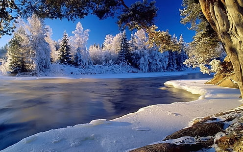 Gewässer, Fluss, Kälte, Eis, Küste, Raureif, Holz, gefroren, klar, HD-Hintergrundbild HD wallpaper